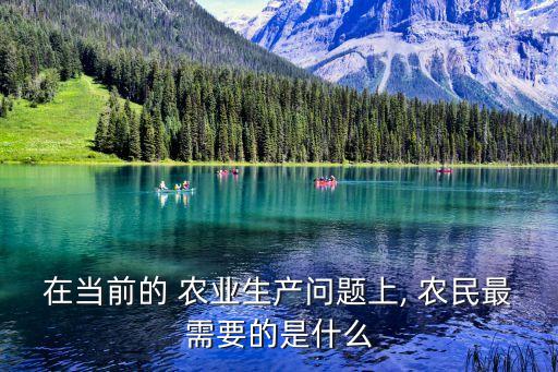 在当前的 农业生产问题上, 农民最需要的是什么