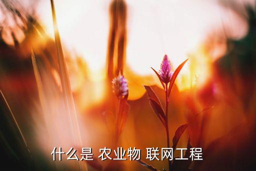 什么是 农业物 联网工程