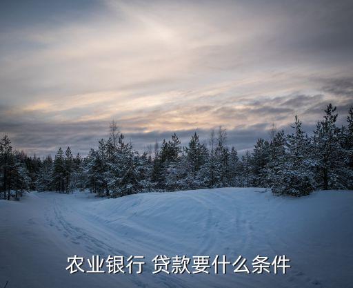  农业银行 贷款要什么条件