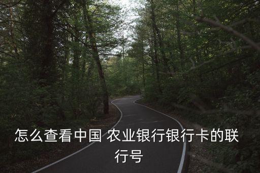 怎么查看中国 农业银行银行卡的联 行号