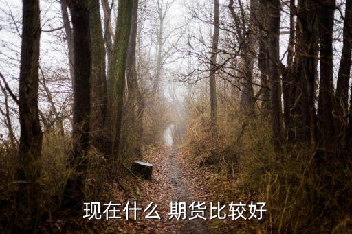 现在什么 期货比较好
