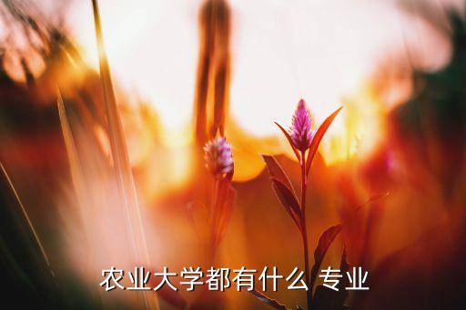  农业大学都有什么 专业