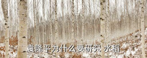 农业为什么要发展水稻,湖南农校试验田发现不同品系水稻