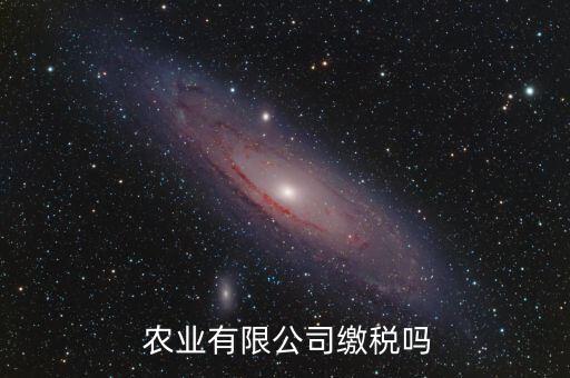 农业企业什么税,农业公司需要缴纳哪些税?