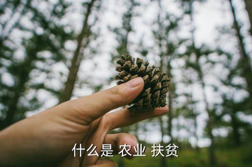 什么是 农业 扶贫