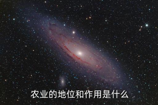  农业的地位和作用是什么