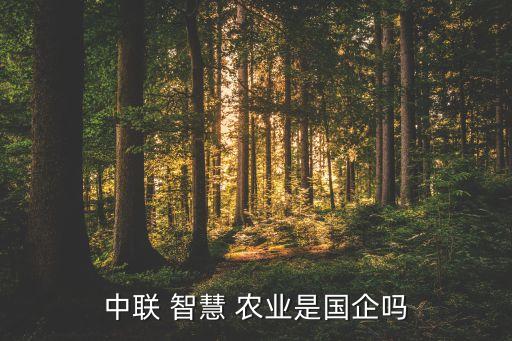 智慧农业有什么公司,中联智慧-1/不是国有企业而是股份公司