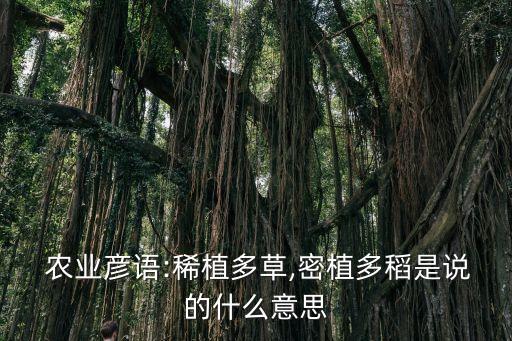 农业对话是什么意思,农业生产3:深耕密植施肥好