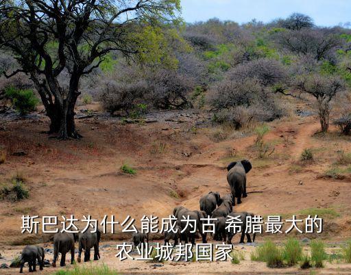 希腊农业种什么,希腊农业发达成为古代希腊最大农业城邦