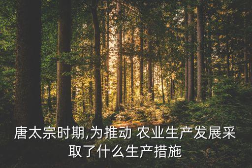 唐太宗时期,为推动 农业生产发展采取了什么生产措施