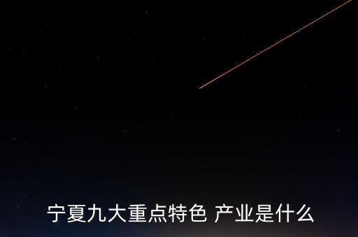  宁夏九大重点特色 产业是什么