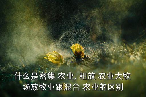 什么是密集 农业, 粗放 农业大牧场放牧业跟混合 农业的区别