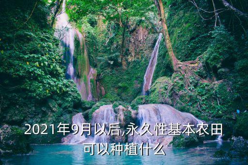 2021年9月以后,永久性基本农田可以种植什么