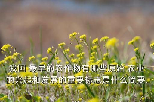 中国农业最早发明什么,中国农业发生在新石器时代