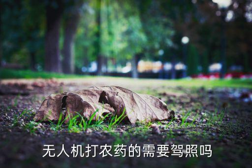 农业上的无人飞机叫什么,飞行前须检查无人飞机细节