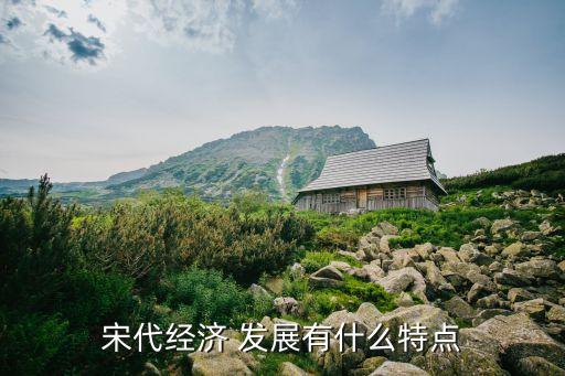 宋代经济 发展有什么特点