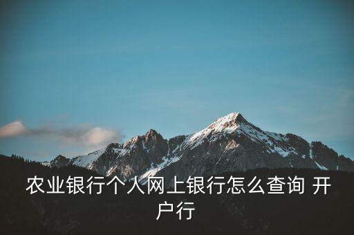  农业银行个人网上银行怎么查询 开户行