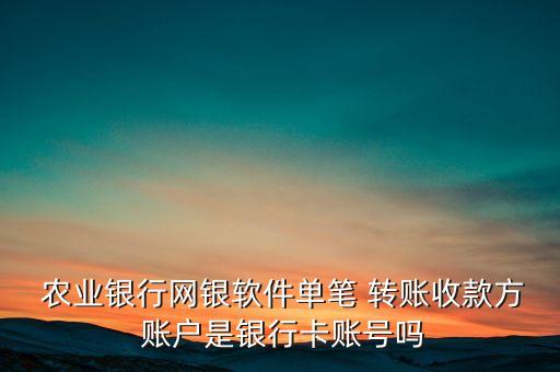 农业银行转账账户是什么,中国农业银行在代理行开立独立账户