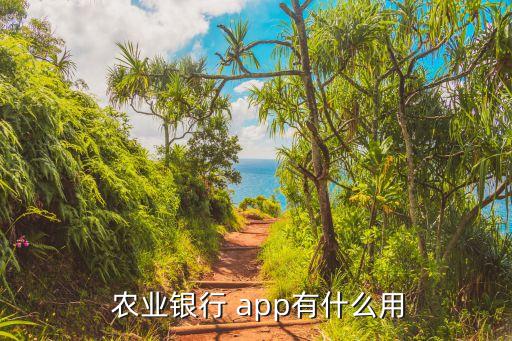  农业银行 app有什么用