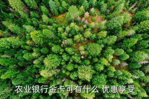  农业银行金卡可有什么 优惠享受