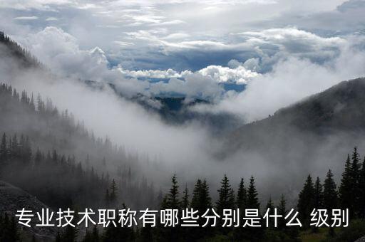 专业技术职称有哪些分别是什么 级别