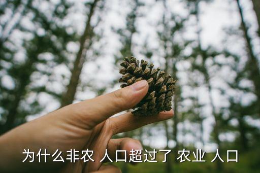 为什么非农 人口超过了 农业 人口