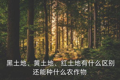  黑土地、黄土地、红土地有什么区别还能种什么农作物