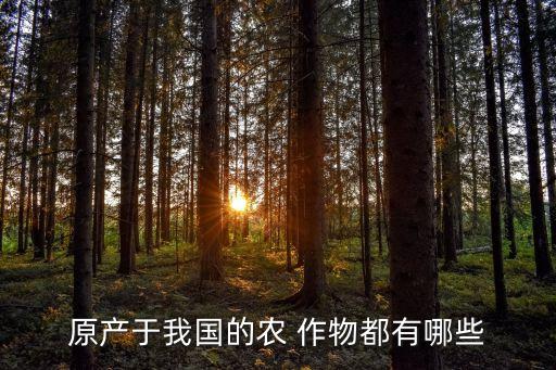 中国农业生产什么作物,农业作物原产于中国的有大豆大米等
