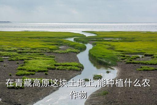 青稞是什么农业,青藏高原主要是高山牧场青海省最温暖湿润地区