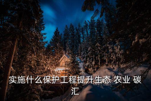 农业碳汇什么含义,为加强生态-2碳汇保护工程采取以下措施