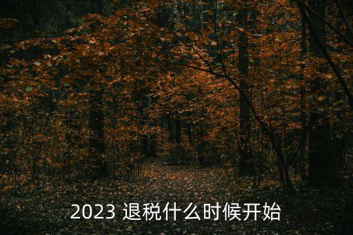 2023 退税什么时候开始
