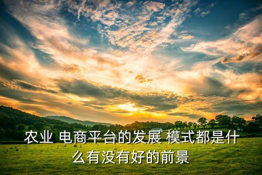 农业电商怎么经营模式,拼多多电商的经营模式