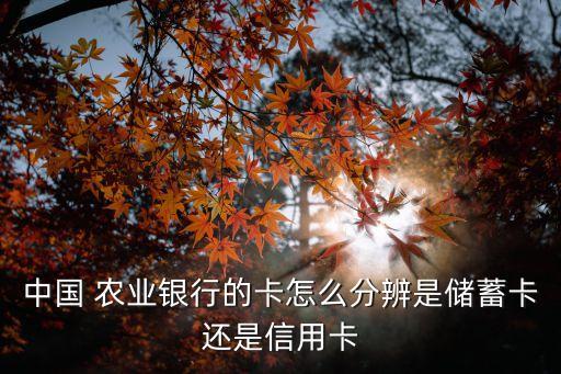 农业银行卡怎么查类型的,中国银行卡类型怎么查