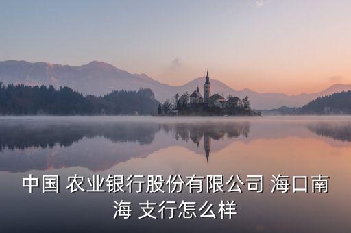 海口有什么农业银行支行,农业银行海口南海支行处于开业状态