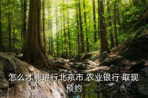 农业银行大额取现用什么装,中国银行大额取现预约从何而来?