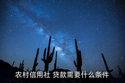 农业贷款对法人有什么要求,农村信用社还贷款需要什么证件1