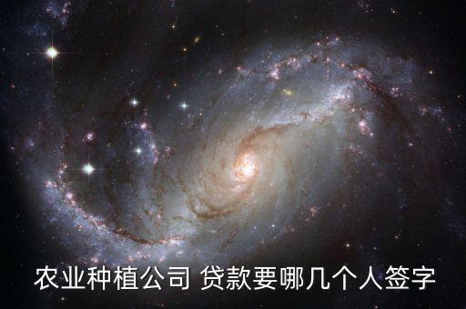  农业种植公司 贷款要哪几个人签字