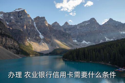 郑州农业银行办卡要求什么,中国农业银行信用卡办理流程