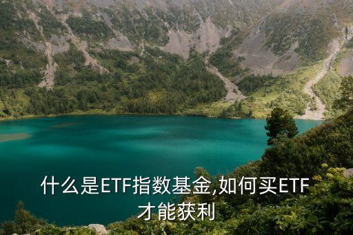 农业etf股票怎么样,农业ETF这个股票怎么样