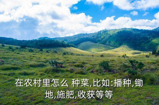 农业上怎么去选种子种菜
