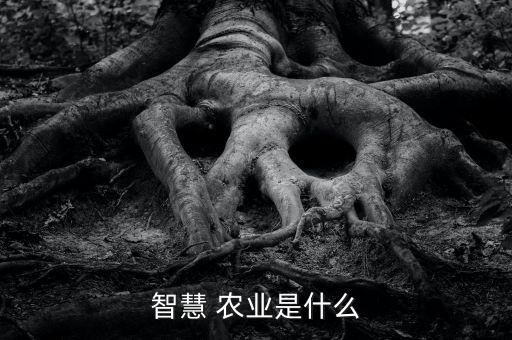 数字农业为什么成本高,数字农村还有什么意思?