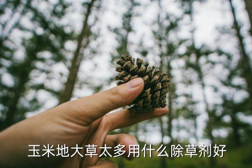  玉米地大草太多用什么除草剂好