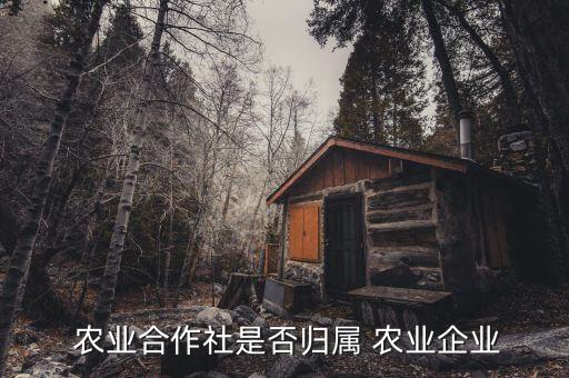  农业合作社是否归属 农业企业