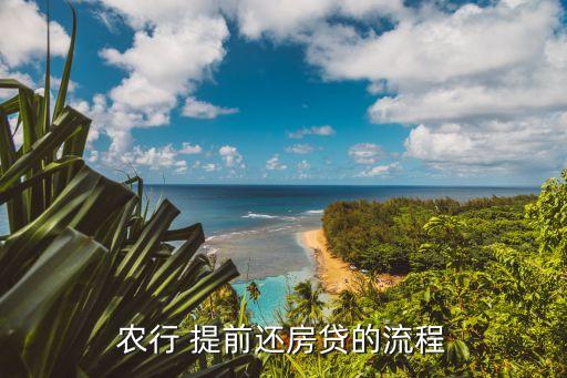 农业银行贷款怎么提前过