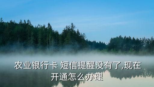 怎么恢复农业银行的短信,农业银行95599短信恢复