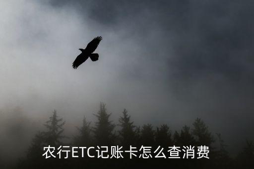 农业银行etc怎么找