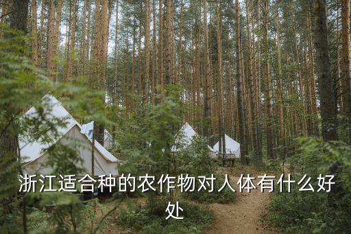  浙江适合种的农作物对人体有什么好处