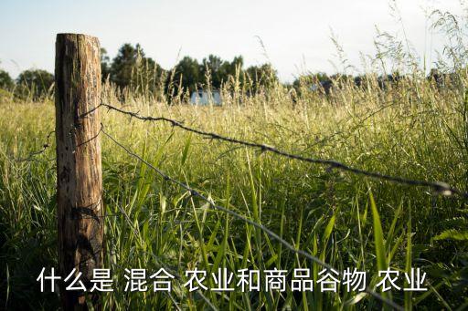 混合农业有什么区别,中国粗放农业相对落后经验水平低