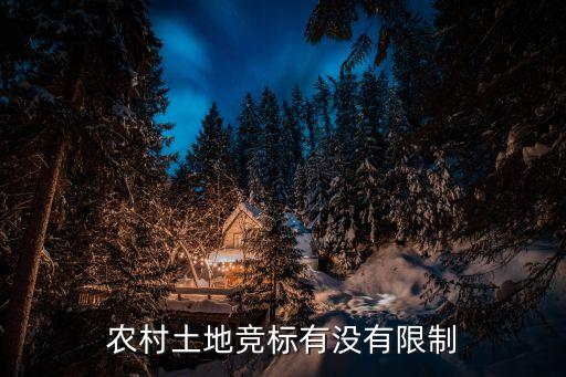 农村土地竞标有没有限制