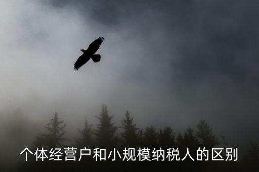 个体户农业怎么命名,咨询服务个体户命名